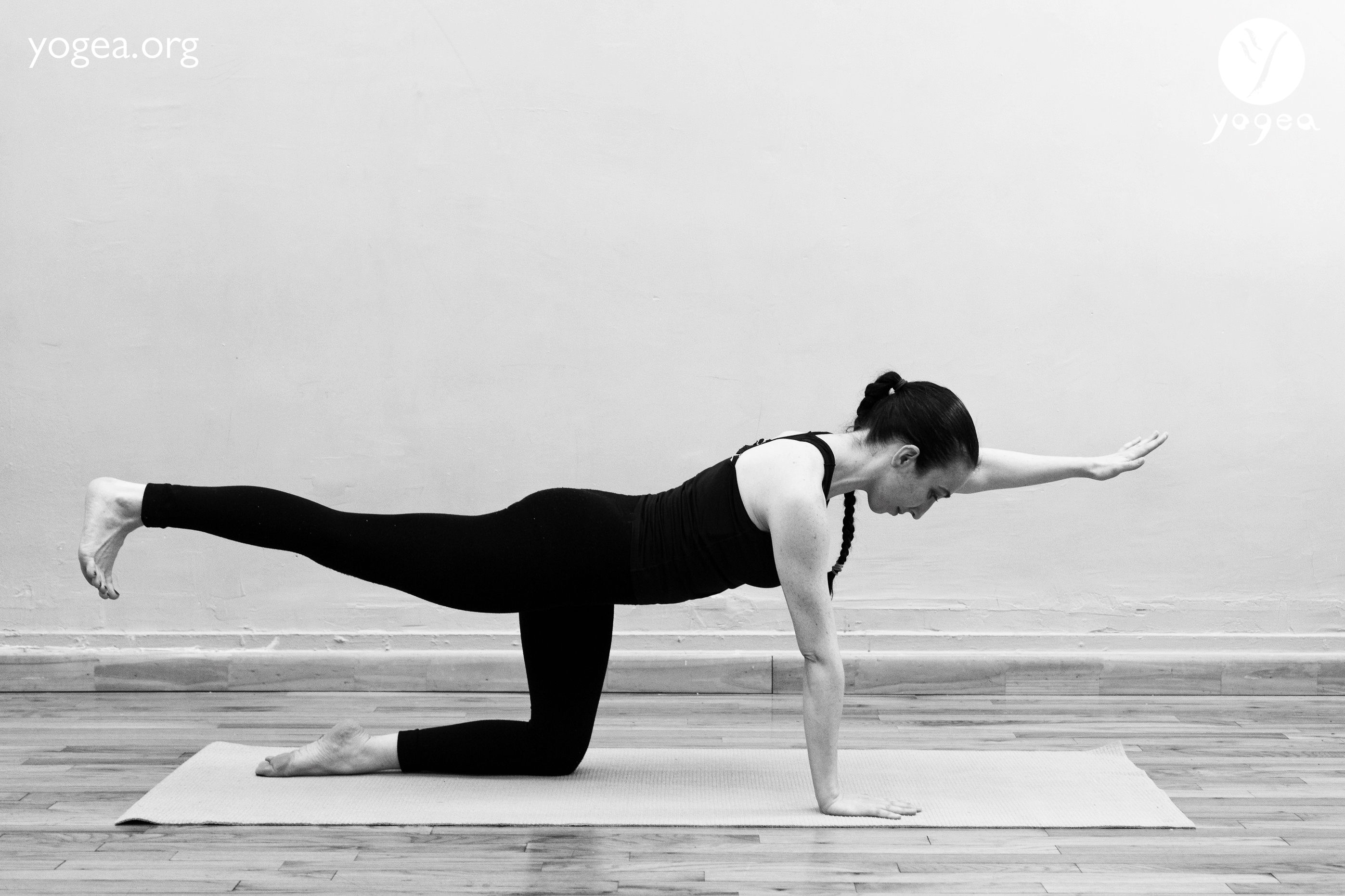 Balancing Table Pose Hand Block Yoga (Dandayamana Bharmanasana