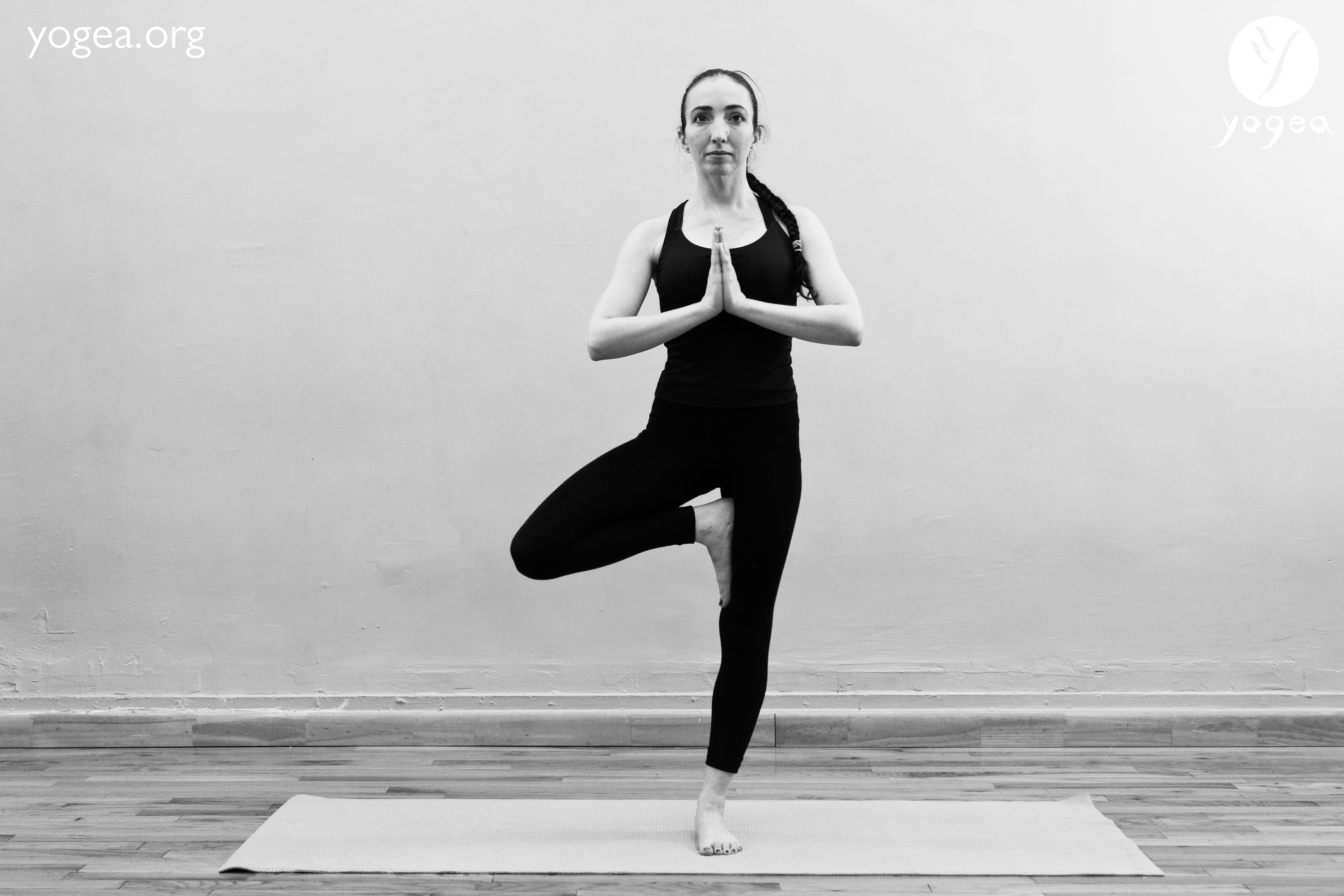 Tree Pose - Vrksasana - The Yoga Collective - How To Practice Tree Pose
