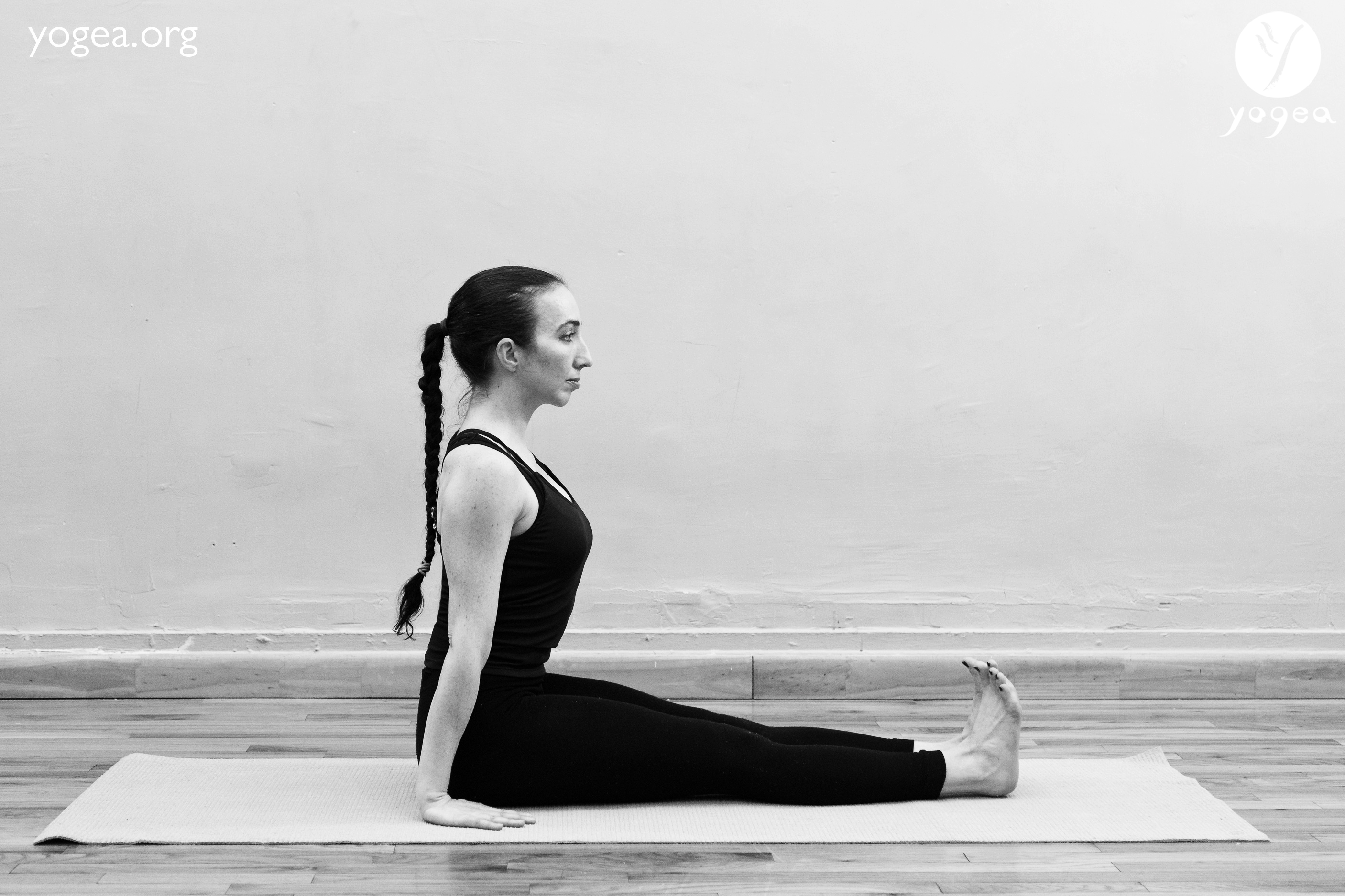 Four-Limbed Staff Pose / Chaturanga Dandasana (Yoga Tutorial) - YouTube