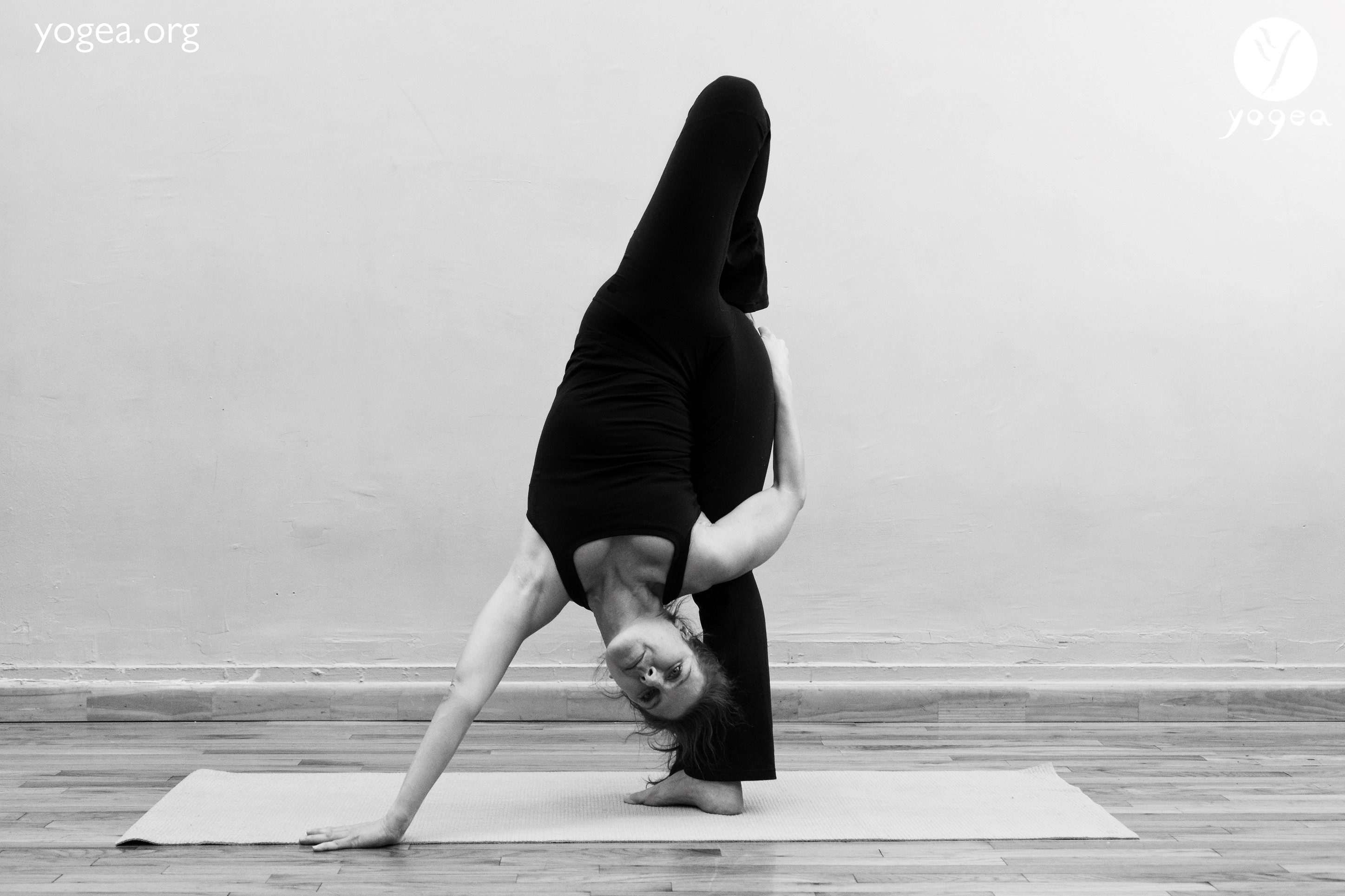 Standing Splits Workshop — Dani Winks Flexibility