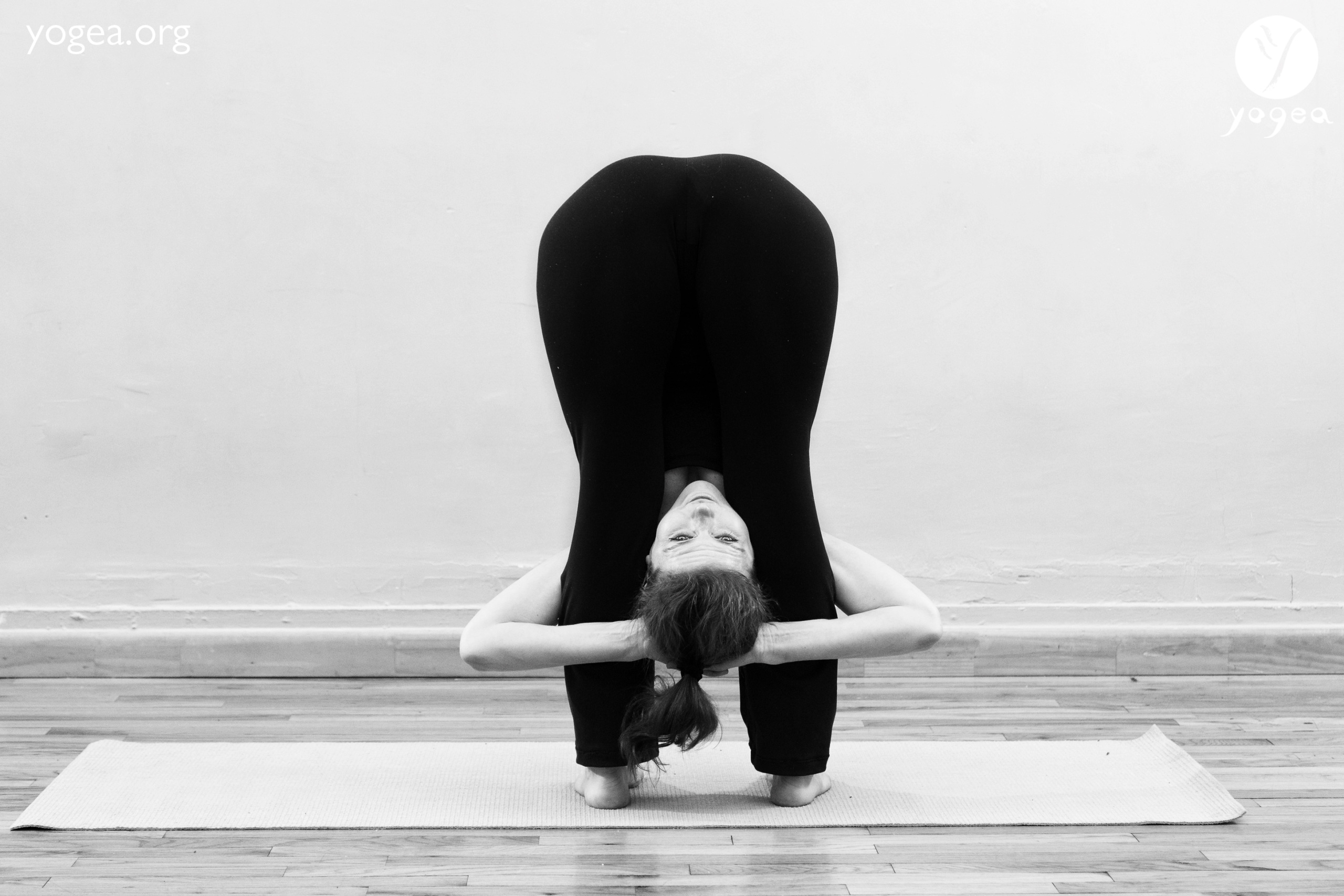 uttanasana variations