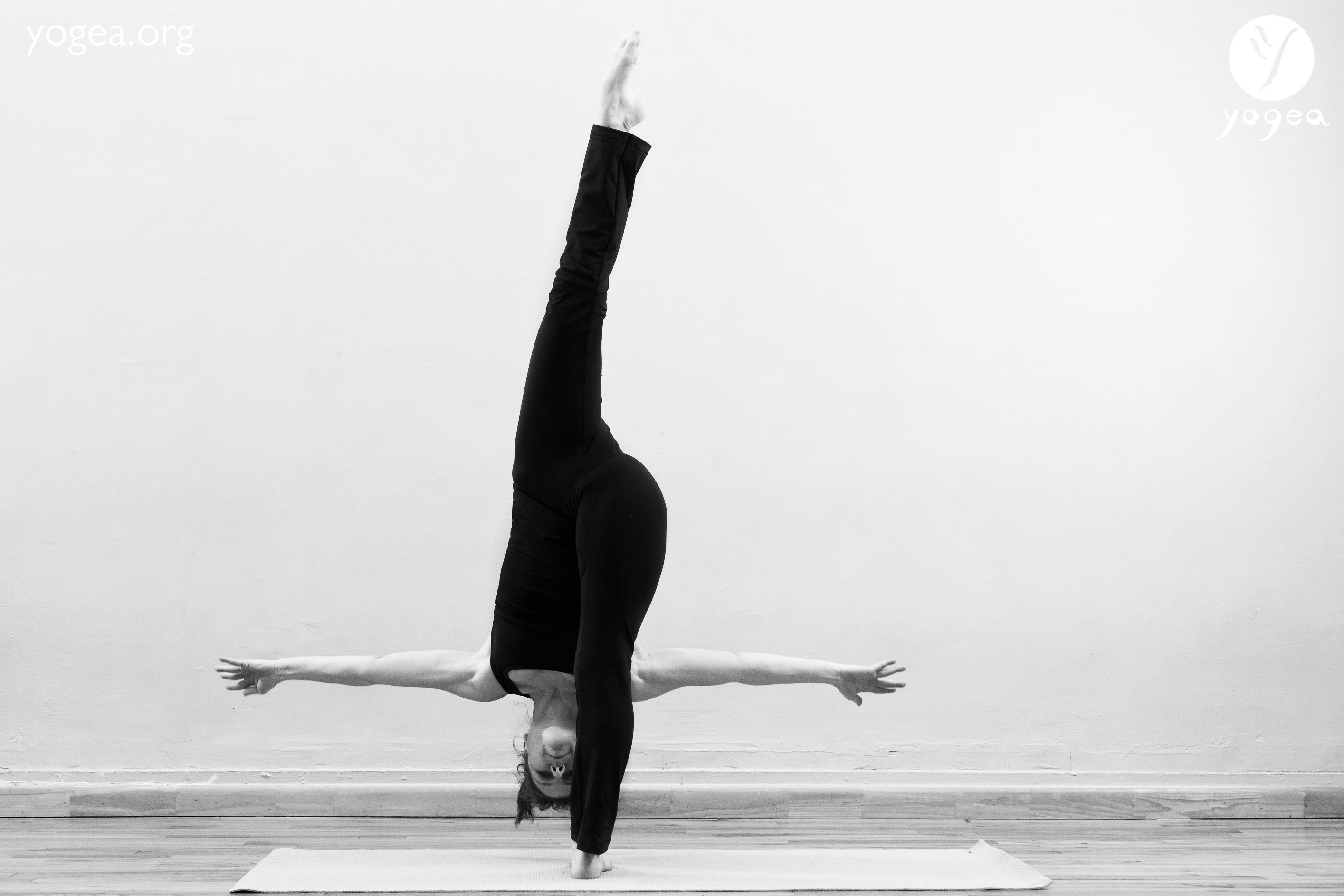 Silhouette of woman doing yoga Urdhva Prasarita Eka Padasana. Standing  Splits pose. Isolated vector illustration Stock Vector Image & Art - Alamy
