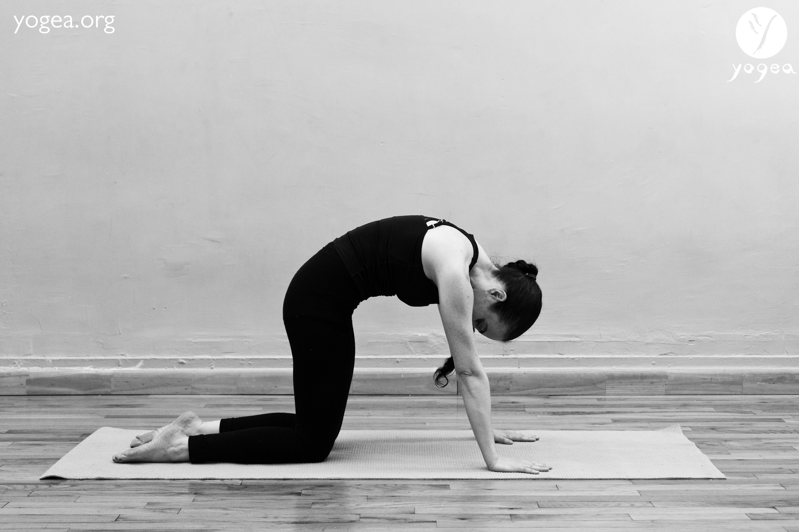 The Best Yoga Asanas For Ankylosing Spondylitis - Dr. Sharda Ayurveda